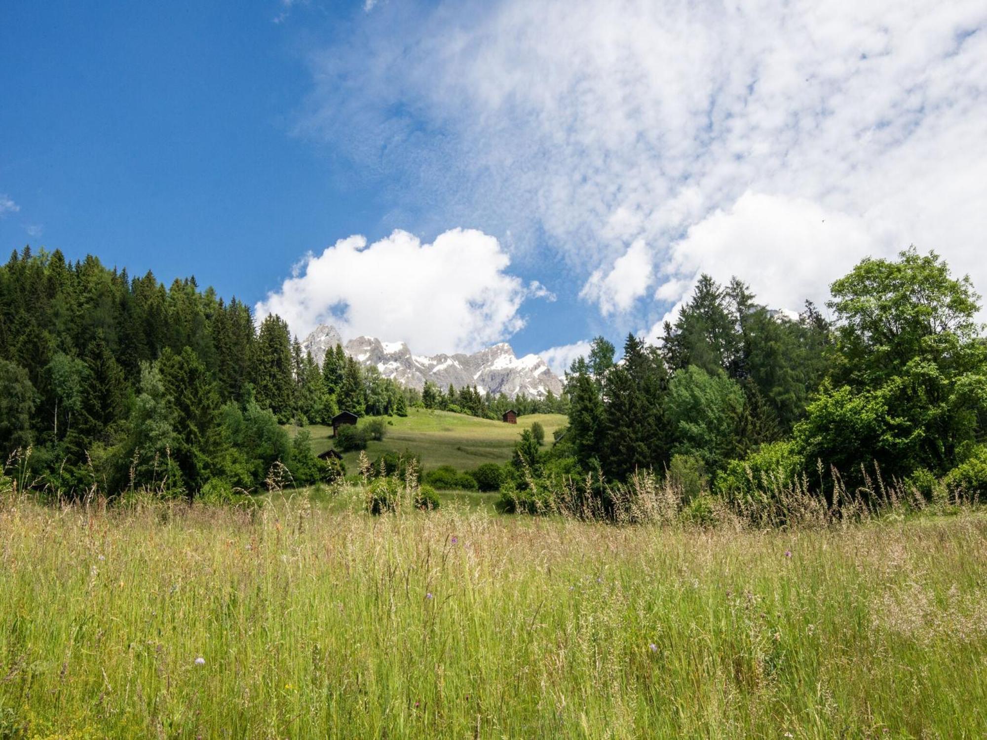 Mountain View Apartment In Strengen Near Ski Bus Экстерьер фото